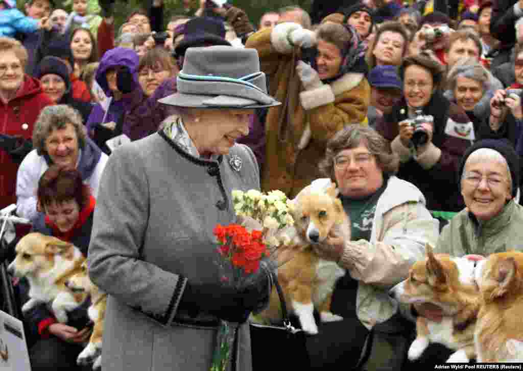 Regina Elisabeta a II-a îi salută pe membrii Asociației Corgi din Manitoba în timpul vizitei de la Winnipeg, Canada, pe 8 octombrie 2002, într-un turneu de 11 zilei organizat&nbsp;cu ocazia Jubileului de Aur. De-a lungul celor șapte decenii de domnie se crede că regina Elisabeta a II-a a avut cel puțin 30 de câini din rasa&nbsp;corgi galez (Pembroke).