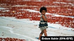  Девочка-беженка стоит среди сушеных помидоров. Иллюстративное фото.