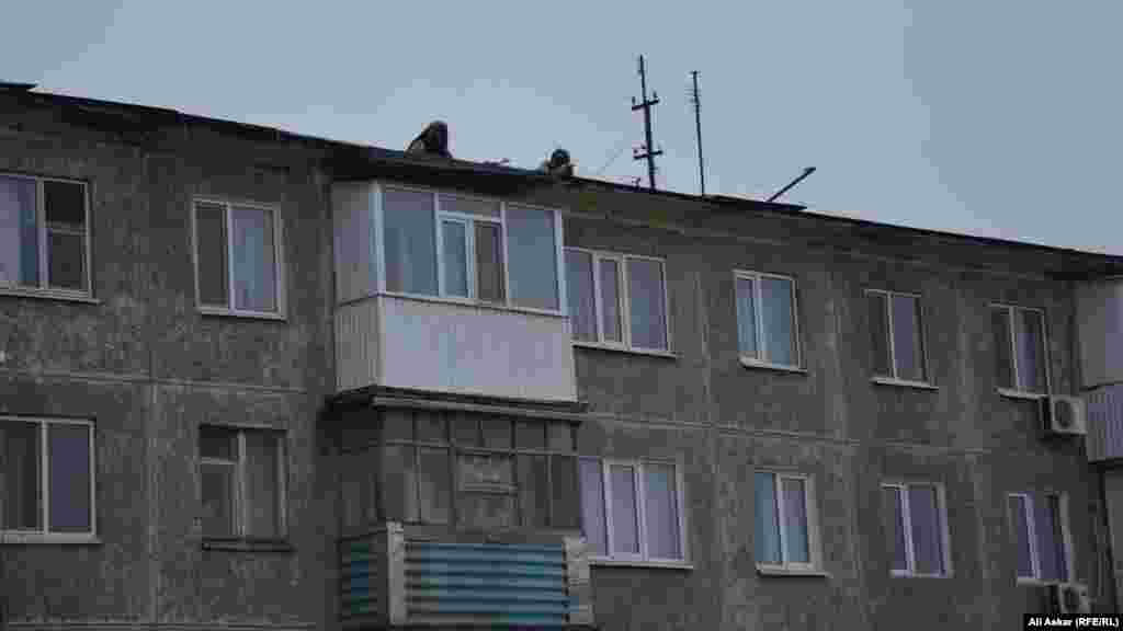 Снайперы на крыше дома перед зданием суда в Актобе.