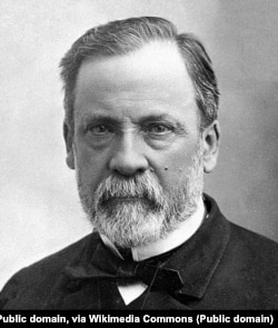 Луї Пастер (1822–1895) – французький мікробіолог і хімік