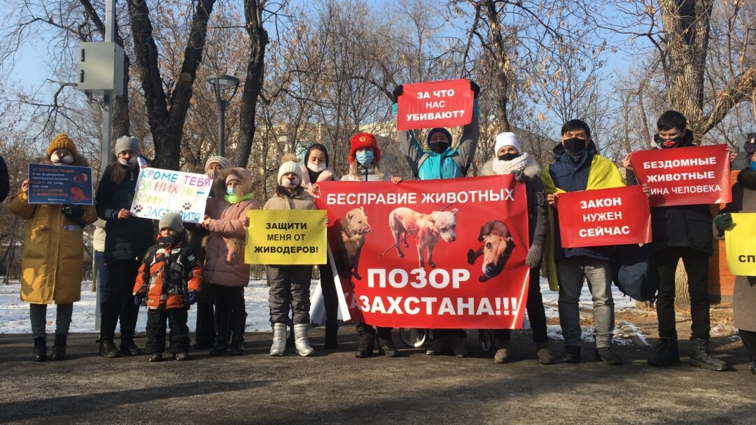 Диснейдің порно жинағы