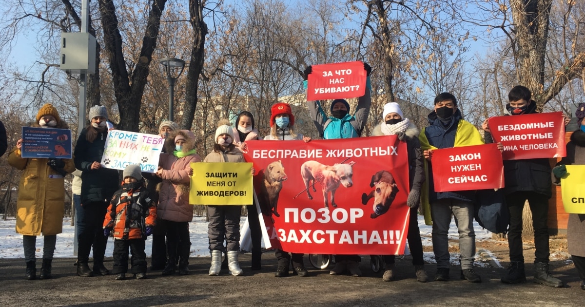 Порно онлайн секс стриптиз