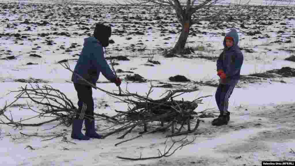 Coplii la str&acirc;ns lemne de foc, Floreşti