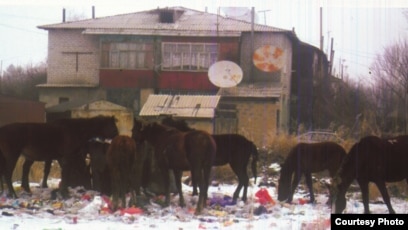 Тор колготки мен леггинс киген жалаңаш қыздың видеосы.