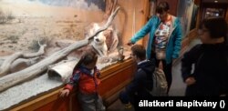 Amikor egy családba Down-szindrómás gyermek születik, a család krízishelyzetbe kerül, ami a szülők mellett érinti a családban élő testvéreket is. A sajátos képességek kibontakoztatásához, a nehézségek enyhítéséhez próbál segítséget nyújtani élményterápiás programjával a budapesti állatkert