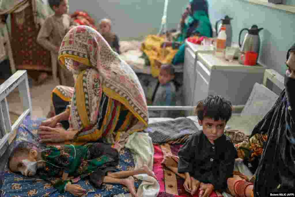 FIGYELEM! FELKAVARÓ TARTALOM! A kandahári&nbsp;Mirvaisz kórházban gyermekeket kezelnek alultápláltsággal szeptember 27-én. Egy ágyra több beteg jut, nagyon sok az öt éven aluli közöttük