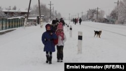 Иллюстративное фото. 