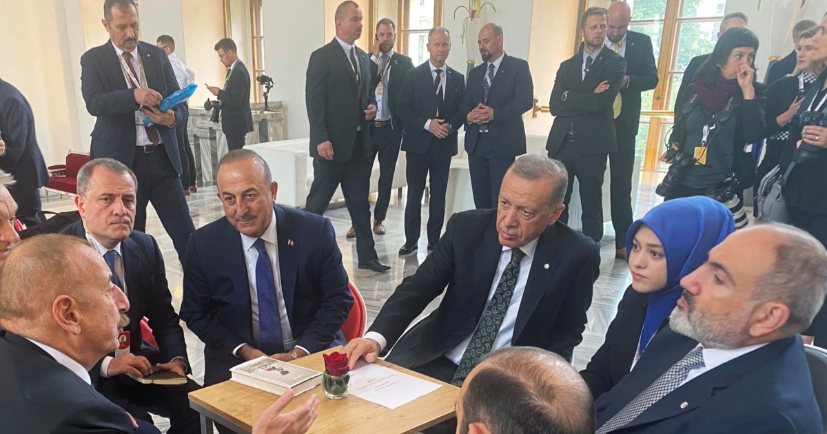 სომხეთი ელის, რომ მომავალ წელს ერევანში ჩავლენ თურქეთისა და აზერბაიჯანის პრეზიდენტები