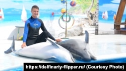 Черноморские дельфины-афалины из севастопольского дельфинария «Flipper»