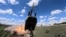 M142 HIMARS 147-ї артбригади ДШВ ЗСУ пускає ракету по позиції російської артилерії