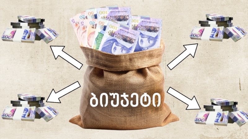 მთავრობის ფავორიტები - ვის და რისთვის ერგო სახელმწიფო გრანტები?