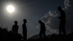 مهاجران افغان در ترکیه