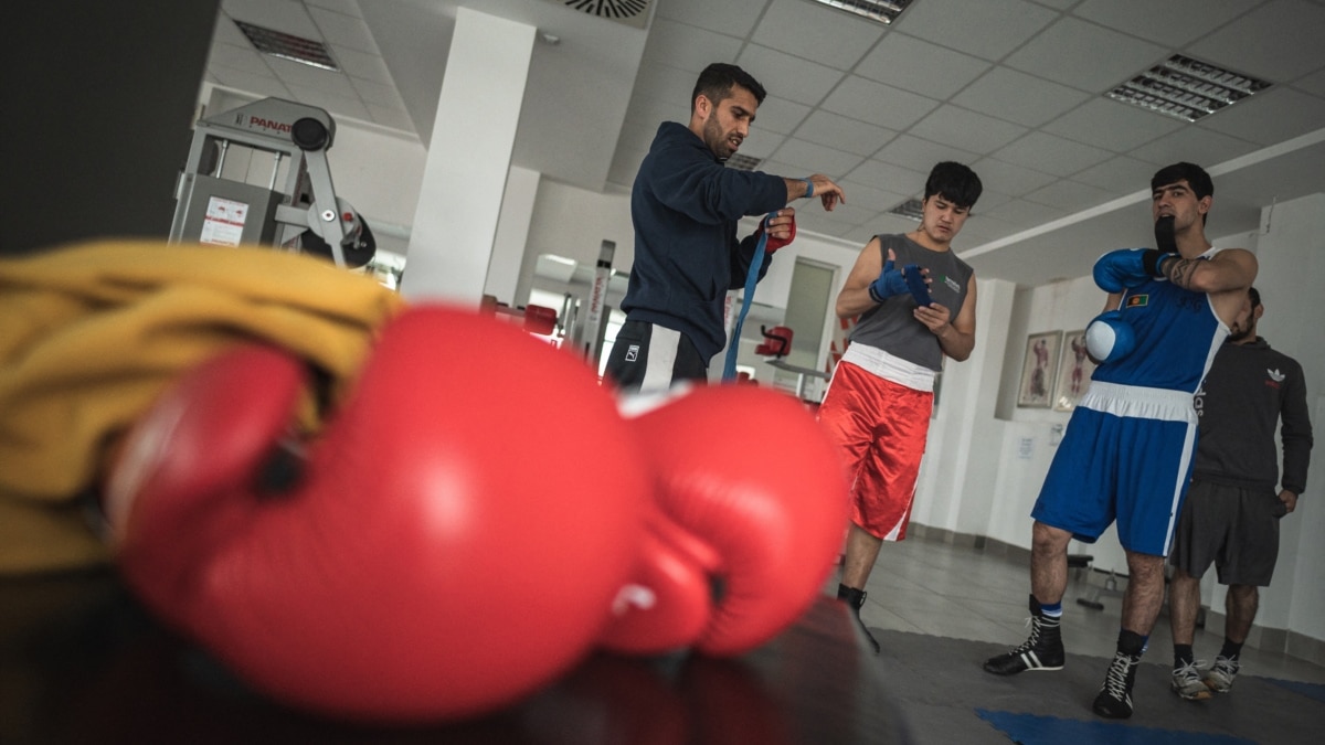 Afghan Boxers Refuse To Return To Their Homeland For Fear Of Taliban