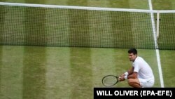 Novak Đoković, fotoarhiv