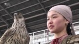 Ловчие птицы на состязаниях в Алматы