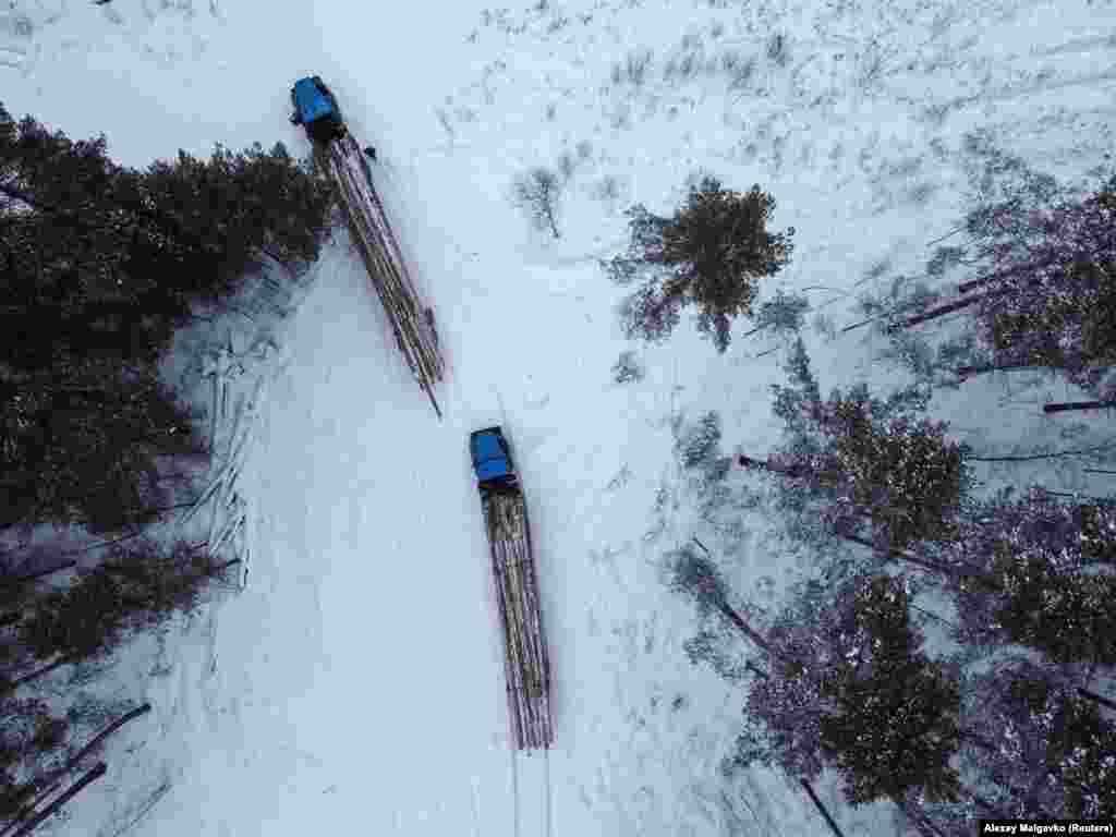 Trucks are loaded with logs as forestry workers fell pine trees near the settlement of Muromtsevo in Russia&#39;s Omsk region.