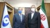 رافائل گروسی (چپ) مدیرکل آژانس بین‌المللی انرژی اتمی و محمد اسلامی، رئیس سازمان انرژی اتمی ایران 