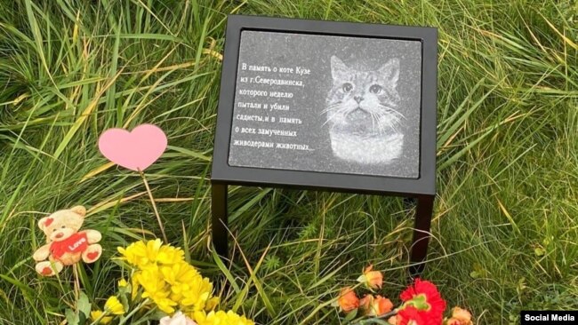 Памятник коту Кузе, замученному живодерами