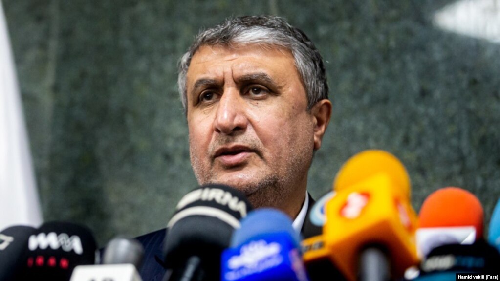 محمد اسلامی، رییس سازمان انرژی اتمی ایران