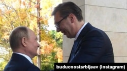 Владимир Путин и Александр Вучич на переговорах в Сочи, 25 ноября 2021 года 