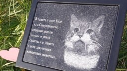 Памятник коту Кузе
