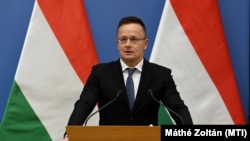 Hungarian Foreign Minister Peter Szijjarto (file photo)