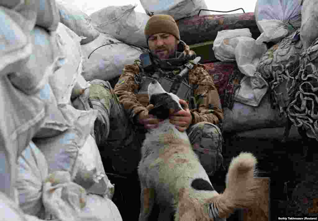 Një pjesëtar i forcave të armatosura ukrainase, duke përkëdhelur një qen, në pozicionet e luftimit, në vijën e ndarjes, pranë qytetit të Donetskut, të kontrolluar nga rebelët, në Ukrainë. (21 prill)