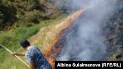 Пожар на пастбище в Алмалуу.