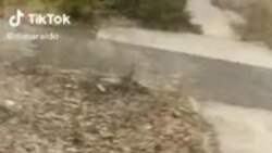 Бойовик про життя на території, підконтрольній російським гібридним силам