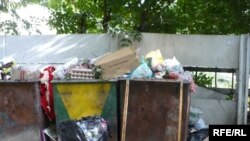 In așteptarea Serviciului de salubritate