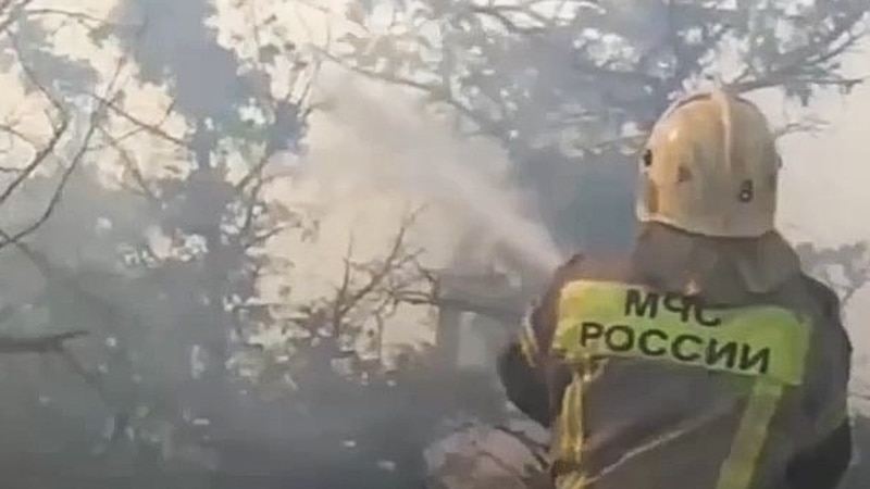 В Новороссийске из-за масштабного лесного пожара введен режим ЧС, эвакуированы сотни людей