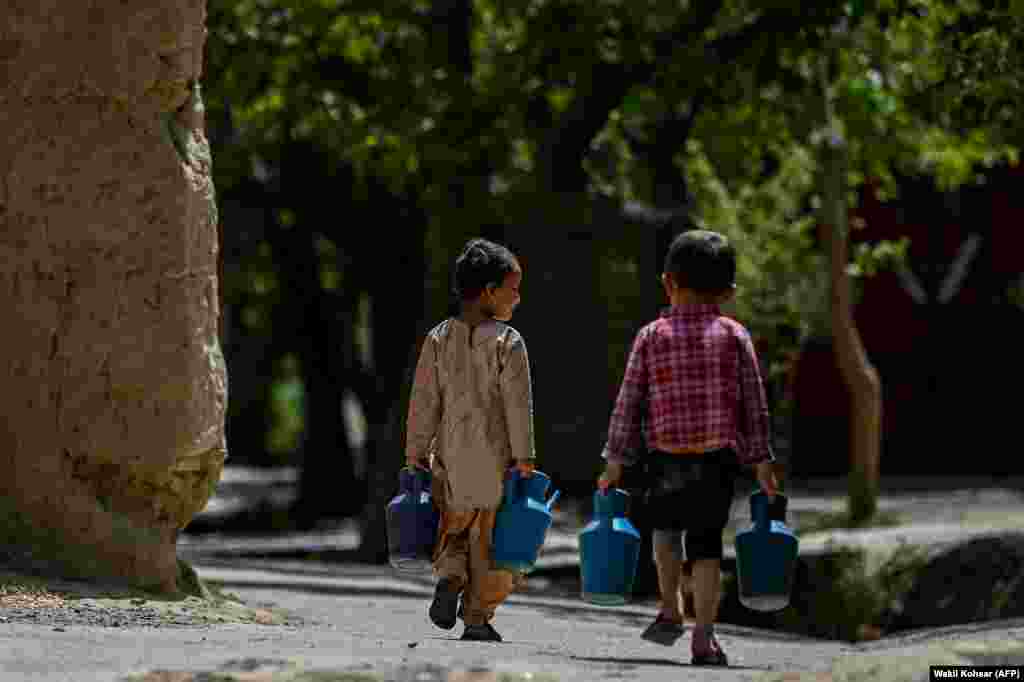 Fëmijët afganë duke bartur ujë me shtamba derisa ecin përgjatë një rruge në një fshat në provincën Parvan.