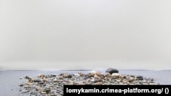 Инсталляция «Крымский пляж» на выставке «Эдельвейс. Женское сопротивление в Крыму» в Представительстве президента Украины в АРК, 26 февраля 2024 года