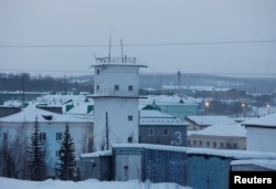 Колонія в селищі Харп Ямало-Ненецького автономного округу, де загинув Олексій Навальний