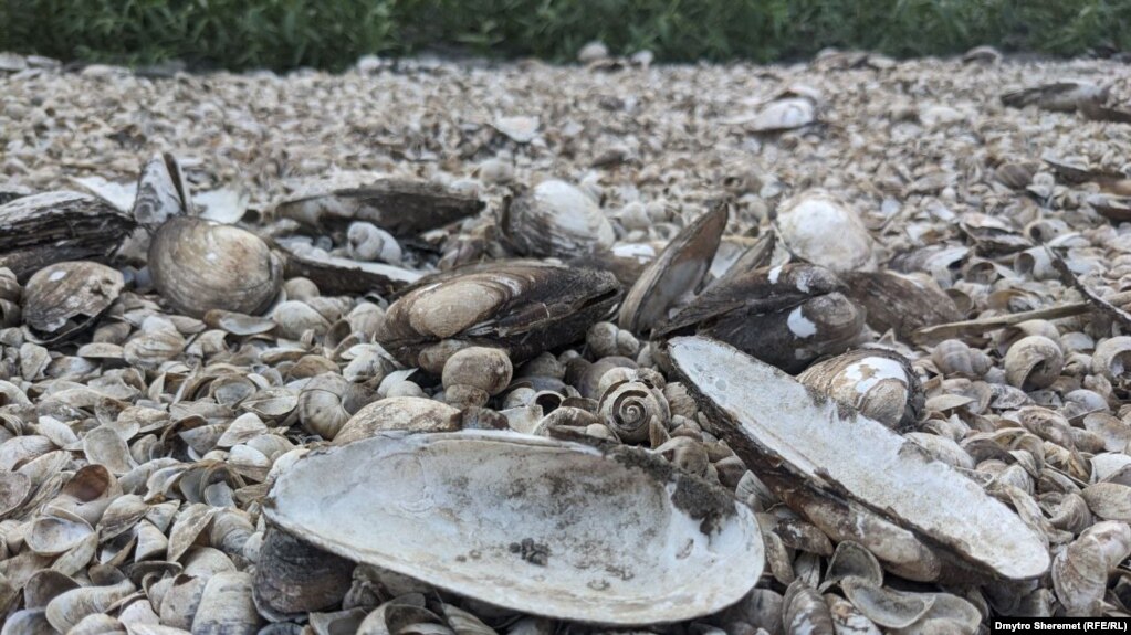 Каховське водосховище висохло після руйнації греблі Каховської ГЕС у червні 2022 року