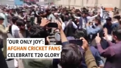 'Our Only Joy': Afghan Cricket Fans Celebrate T20 Glory