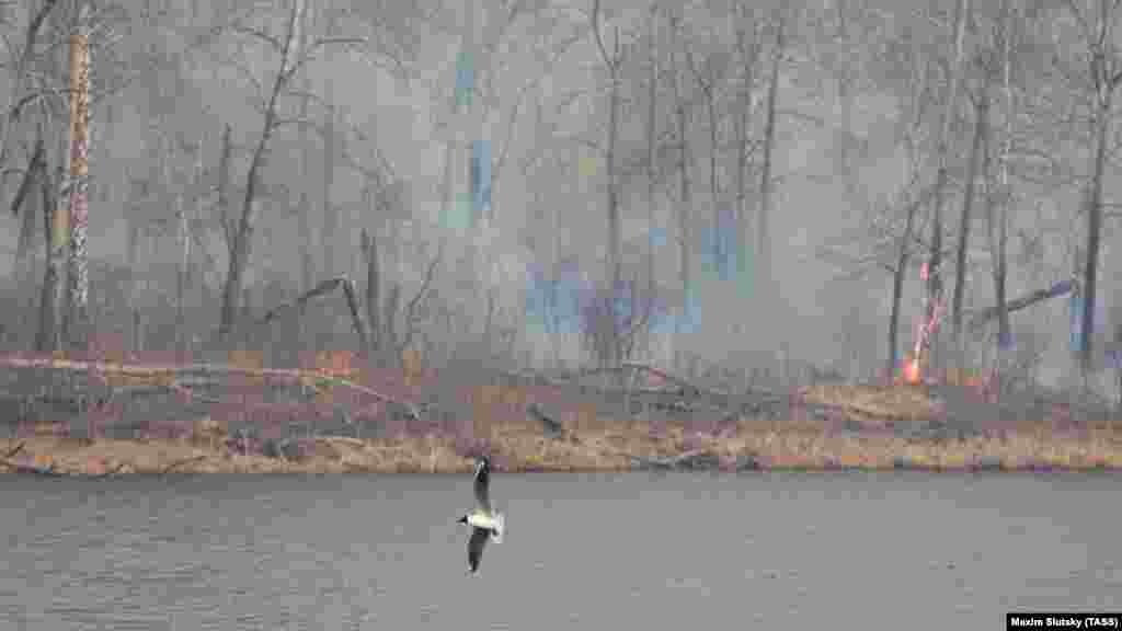 Požari bukte u blizini jezera Polušinskoe, Tjumenska oblast. Ministarstvo za vanredne situacije Kurganske oblasti, u blizini granice sa Kazahstanom, saopštilo je da je identifikovano najmanje 46 osumnjičenih i da je pokrenuto sedam krivičnih predmeta na osnovu optužbi za podmetanje požara. &nbsp;