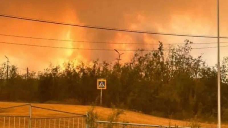Башкортостанские депутаты инициируют пересмотр ответственности граждан за лесные пожары