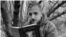 UKRAINE -- Ukrainian poet Maxym Kryvtsov, killed in action on the 6th of January 2024