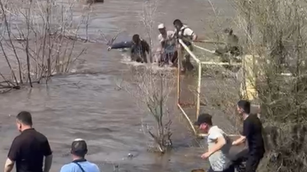 Урал превысил опасную отметку: водой размыло самодельную дамбу, людей  эвакуируют принудительно