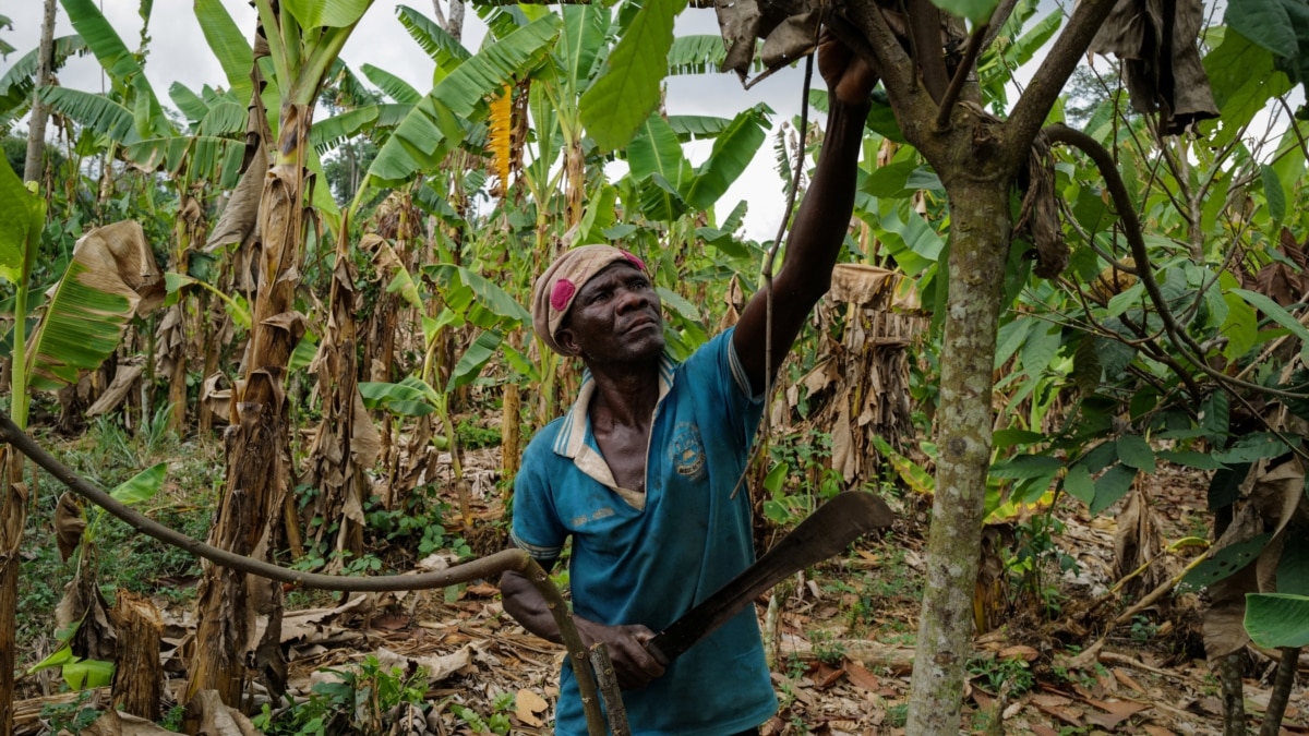 Зависи ли нещо в живота ви от Гана или Кот