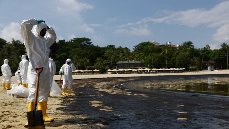 Singapori pastron plazhet e ndotura nga nafta
