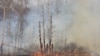 Лесные пожары объяли 46 тысяч гектаров в Сибири