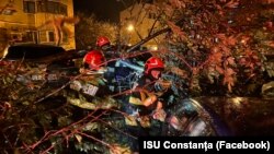 Copacii doborâți de vântul puternic au distrus mai multe autoturism în Constanța.