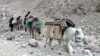 Donkeys Bring Solar Power To Remote Kyrgyz Village