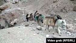 Интернет с магарета. Изолирано село се свързва за пръв път със света