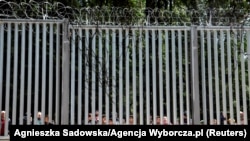 Мігранти на білорусько-польському кордоні, травень 2024 року