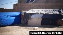 خیمه یی که یکی از افراد فقیر در ولایت فراه برای زنده گی کردن برای خود ساخته است