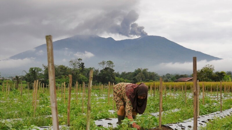 Индонезияда вулкан атылып, 11 киши каза тапты 