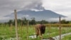 В Индонезии при восхождении на оживший вулкан погибли 11 человек